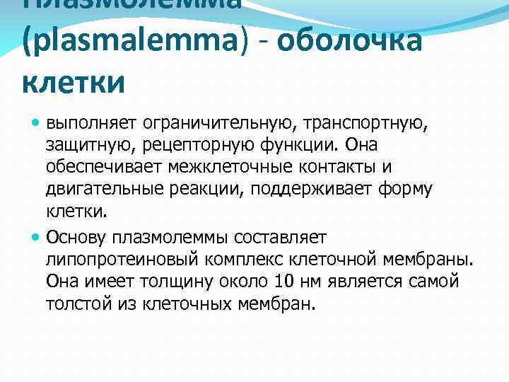 Плазмолемма (plasmalemma) - оболочка клетки выполняет ограничительную, транспортную, защитную, рецепторную функции. Она обеспечивает межклеточные