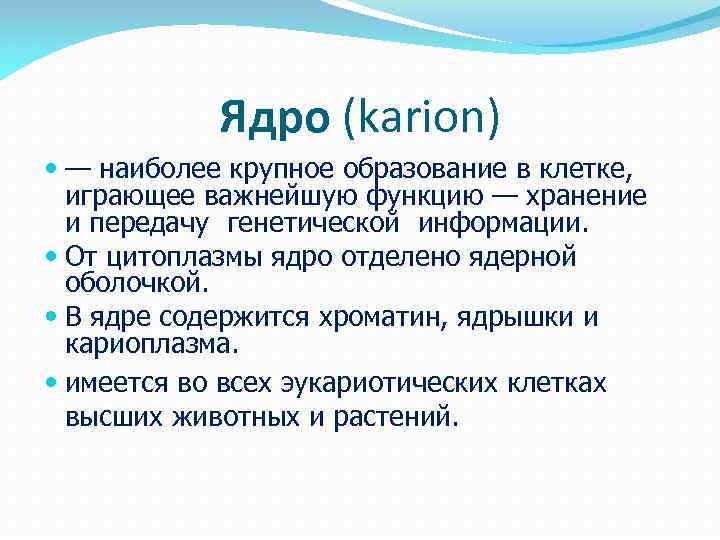 Ядро (karion) — наиболее крупное образование в клетке, играющее важнейшую функцию — хранение и