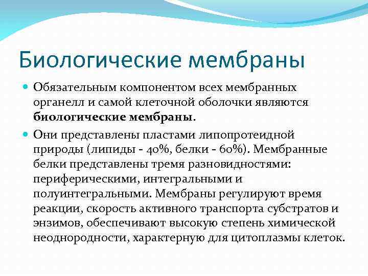 Биологические мембраны Обязательным компонентом всех мембранных органелл и самой клеточной оболочки являются биологические мембраны.