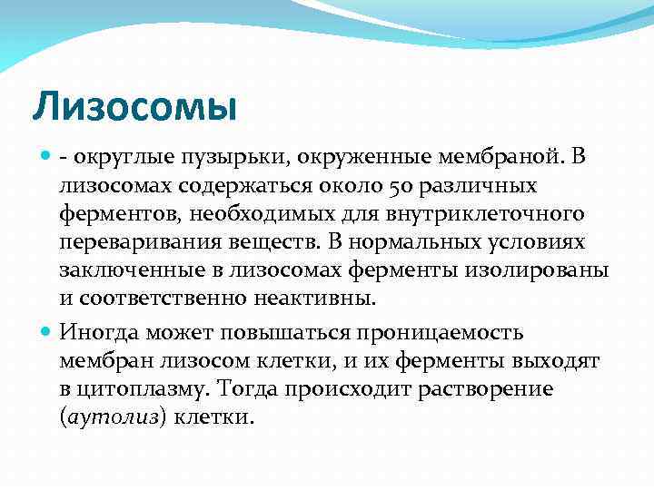 Лизосомы - округлые пузырьки, окруженные мембраной. В лизосомах содержаться около 50 различных ферментов, необходимых