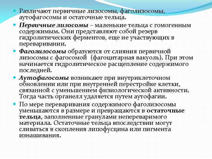  Различают первичные лизосомы, фаголизосомы, аутофагосомы и остаточные тельца. Первичные лизосомы – маленькие тельца