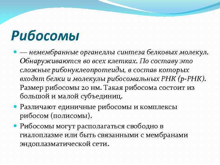 Рибосомы ― немембранные органеллы синтеза белковых молекул. Обнаруживаются во всех клетках. По составу это