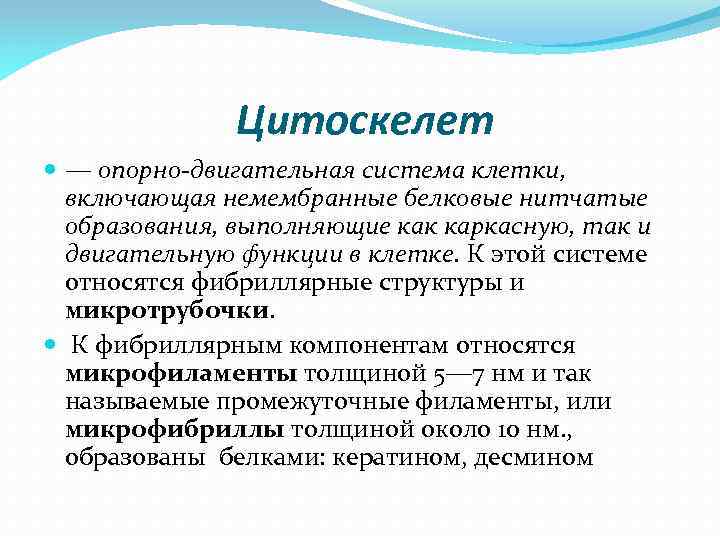 Цитоскелет ― опорно-двигательная система клетки, включающая немембранные белковые нитчатые образования, выполняющие как каркасную, так