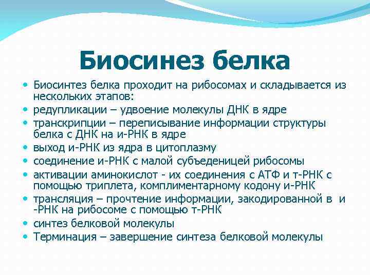 Биосинез белка Биосинтез белка проходит на рибосомах и складывается из нескольких этапов: редупликации –