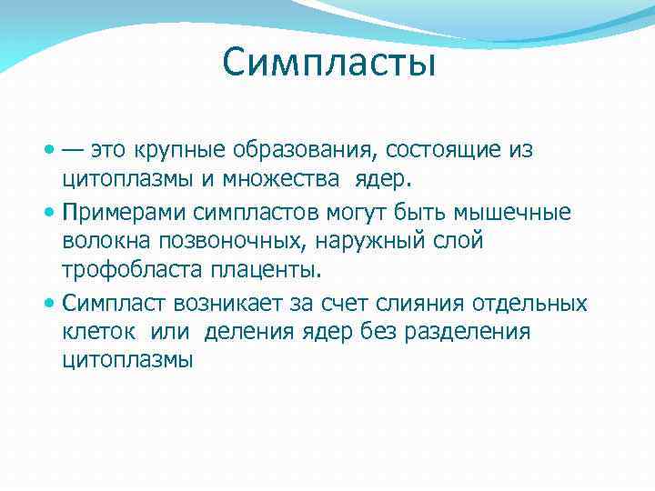 Симпласты — это крупные образования, состоящие из цитоплазмы и множества ядер. Примерами симпластов могут