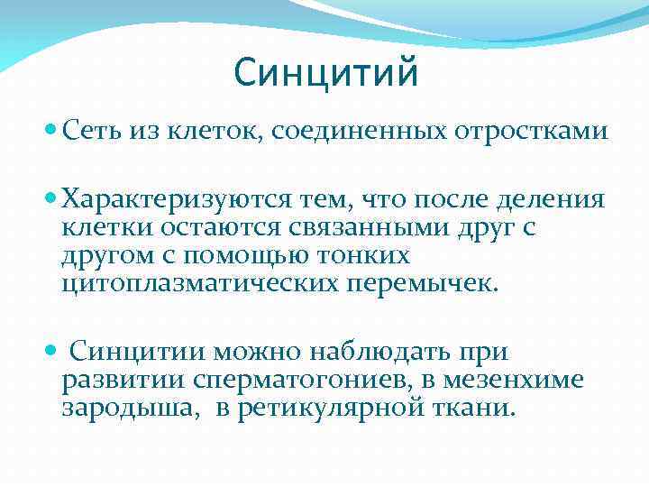 Синцитий Сеть из клеток, соединенных отростками Характеризуются тем, что после деления клетки остаются связанными