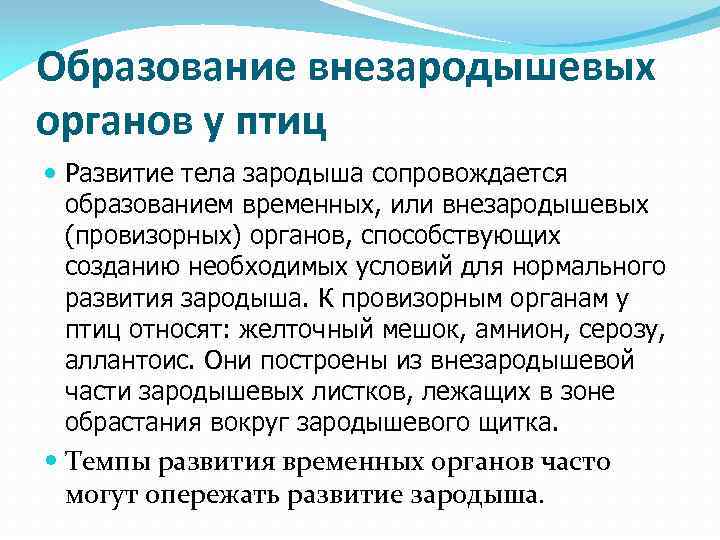 Образование провизорных органов. Формирование внезародышевых органов у птиц. Провизорные органы птиц образование. Развитие провизорных органов. Образование внезародышевых органов у человека.