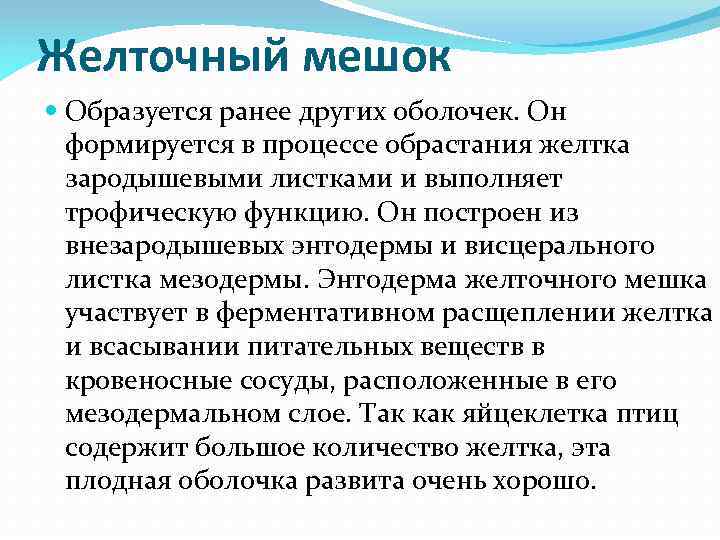 Желточный мешок Образуется ранее других оболочек. Он формируется в процессе обрастания желтка зародышевыми листками