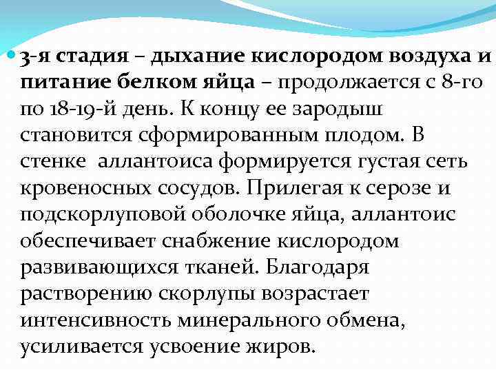  3 -я стадия – дыхание кислородом воздуха и питание белком яйца – продолжается