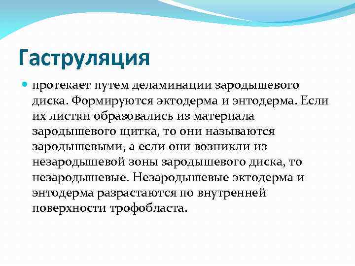 Гаструляция протекает путем деламинации зародышевого диска. Формируются эктодерма и энтодерма. Если их листки образовались