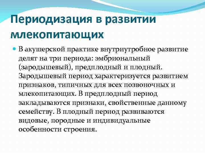 Периодизация в развитии млекопитающих В акушерской практике внутриутробное развитие делят на три периода: эмбриональный