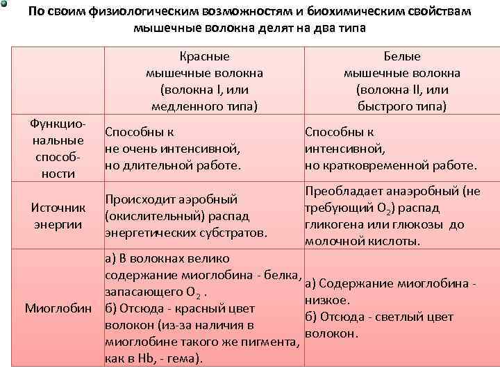 По своим физиологическим возможностям и биохимическим свойствам мышечные волокна делят на два типа Красные
