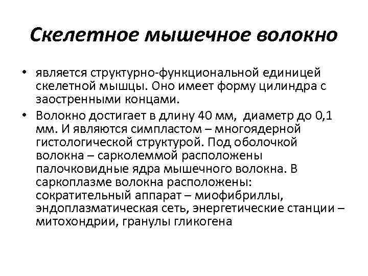 Что не является функциональным. Структурно-функциональная единица скелетной мышцы. Структурно-функциональная единица мышечной ткани.