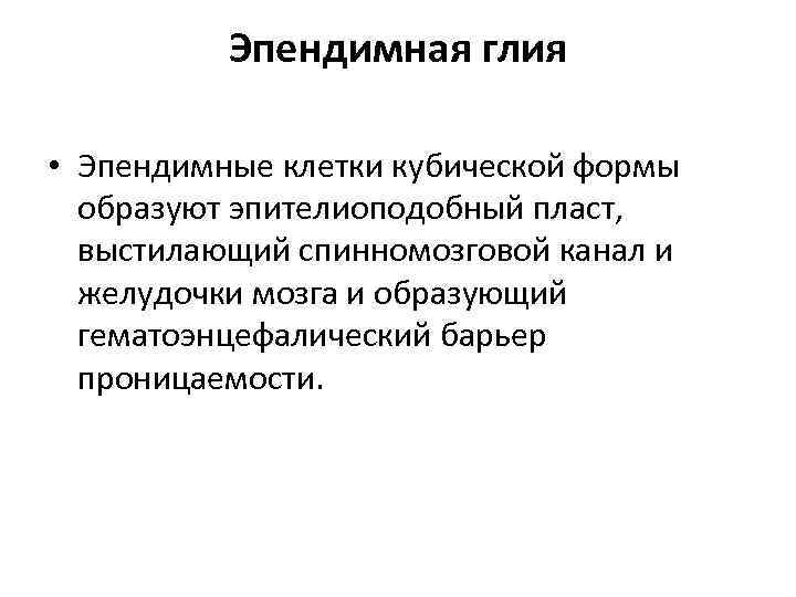 Эпендимная глия • Эпендимные клетки кубической формы образуют эпителиоподобный пласт, выстилающий спинномозговой канал и