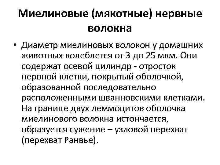 Миелиновые (мякотные) нервные волокна • Диаметр миелиновых волокон у домашних животных колеблется от 3