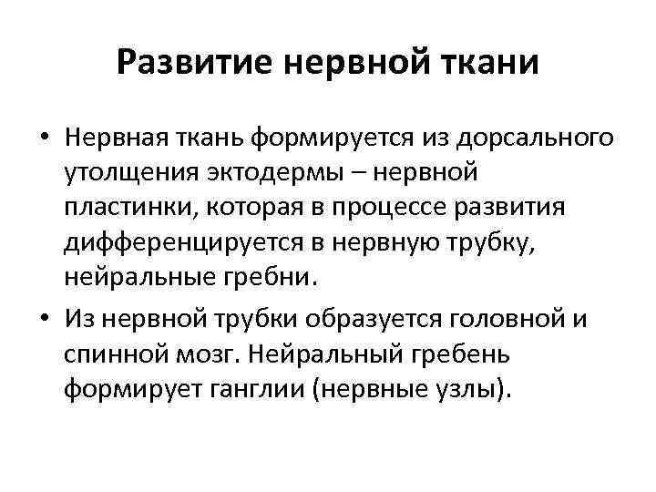 Развитие нервной ткани • Нервная ткань формируется из дорсального утолщения эктодермы – нервной пластинки,