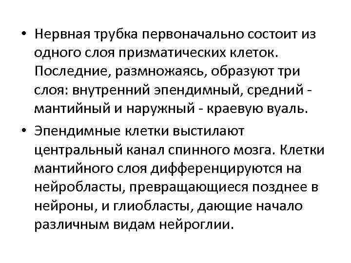  • Нервная трубка первоначально состоит из одного слоя призматических клеток. Последние, размножаясь, образуют