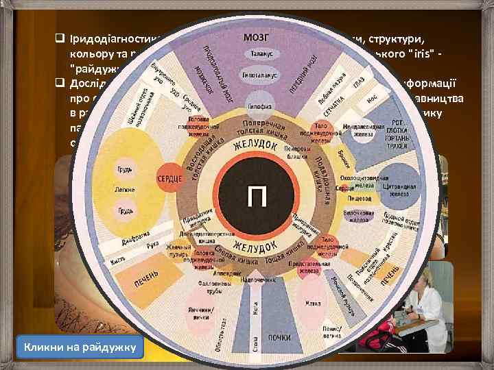 q Іридодіагностика - діагностика хвороб по зміні форми, структури, кольору та рухливості райдужної оболонки