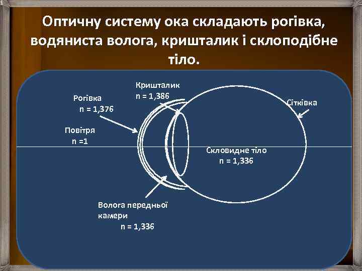 Оптичну систему ока складають рогівка, водяниста волога, кришталик і склоподібне тіло. Рогівка n =