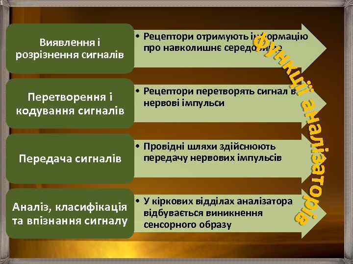 Виявлення і розрізнення сигналів • Рецептори отримують інформацію про навколишнє середовище • Рецептори перетворять