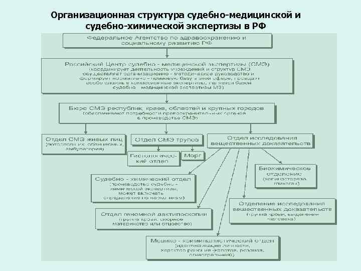 Организационная структура судебно-медицинской и судебно-химической экспертизы в РФ 