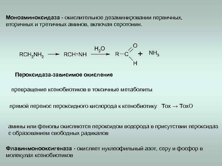 Моноаминоксидаза - окислительное дезаминировании первичных, вторичных и третичных аминов, включая серотонин. Пероксидаза-зависимое окисление превращение