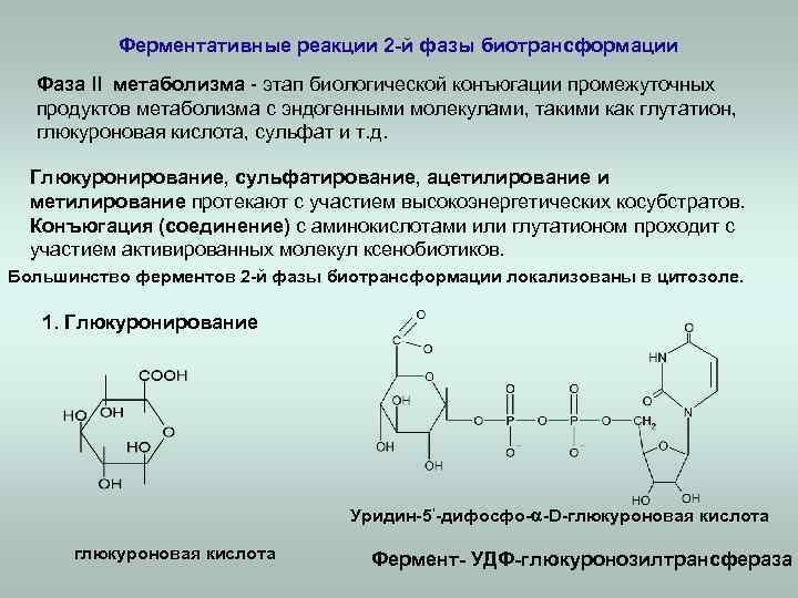 Ферментативные реакции 2 -й фазы биотрансформации Фаза ll метаболизма - этап биологической конъюгации промежуточных