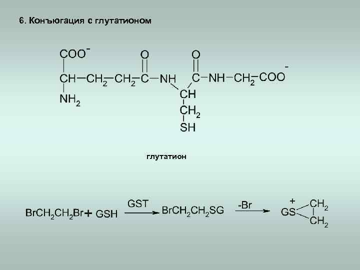 6. Конъюгация с глутатионом глутатион 