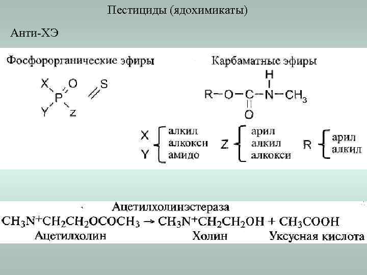 Пестициды (ядохимикаты) Анти-ХЭ 