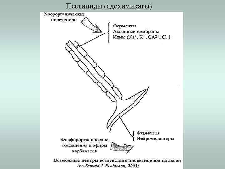 Пестициды (ядохимикаты) 