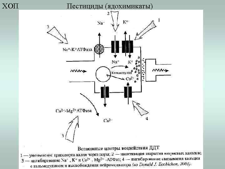 ХОП Пестициды (ядохимикаты) 