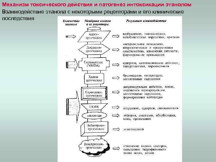 Механизм токсического действия и патогенез интоксикации этанолом Взаимодействие этанола с некоторыми рецепторами и его