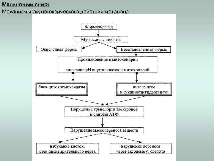 Метиловый спирт Механизмы окулотоксического действия метанола 