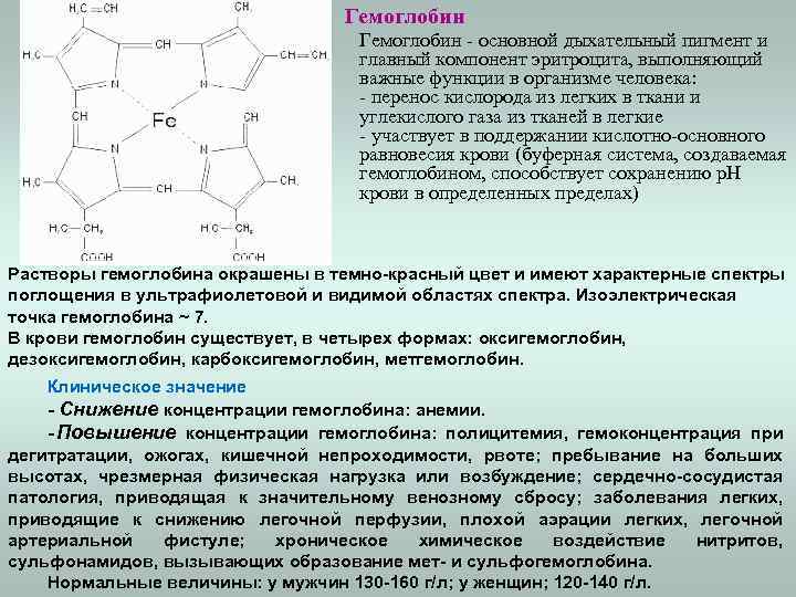 Гемоглобин - основной дыхательный пигмент и главный компонент эритроцита, выполняющий важные функции в организме