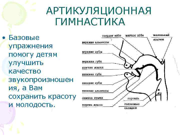 АРТИКУЛЯЦИОННАЯ ГИМНАСТИКА • Базовые упражнения помогу детям улучшить качество звукопроизношен ия, а Вам сохранить