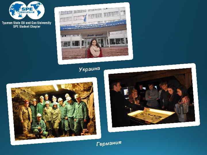 Украина Германия 