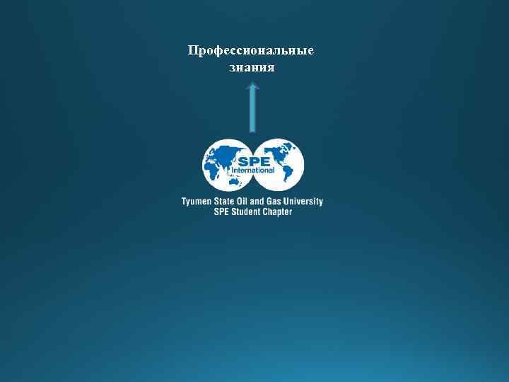 Профессиональные знания 