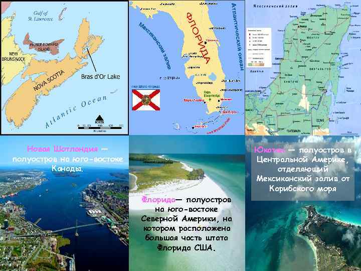 Новая Шотландия — полуостров на юго-востоке Канады. Флори да— полуостров на юго-востоке Северной Америки,