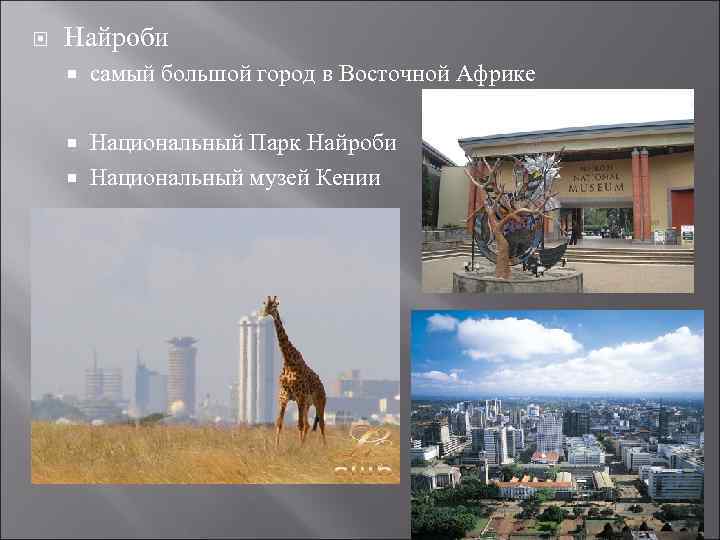  Найроби самый большой город в Восточной Африке Национальный Парк Найроби Национальный музей Кении
