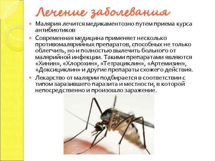 Лечение заболевания Малярия лечится медикаментозно путем приема курса антибиотиков Современная медицина применяет несколько противомалярийных