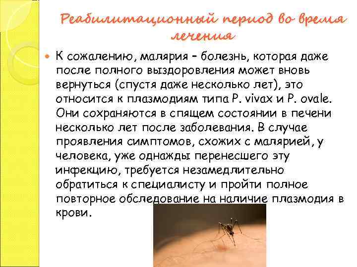 Реабилитационный период во время лечения К сожалению, малярия – болезнь, которая даже после полного