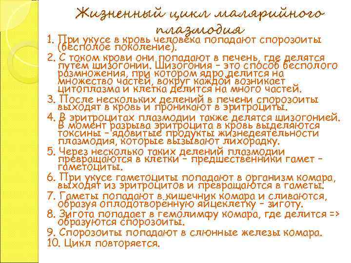 Жизненный цикл малярийного плазмодия 1. При укусе в кровь человека попадают спорозоиты (бесполое поколение).