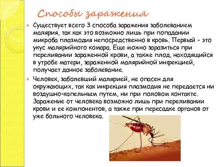 Способы заражения Существует всего 3 способа заражения заболеванием малярия, так как это возможно лишь