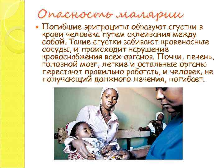 Опасность малярии Погибшие эритроциты образуют сгустки в крови человека путем склеивания между собой. Такие