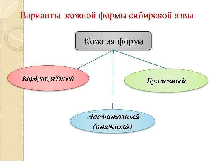 Варианты кожной формы сибирской язвы Кожная форма Карбункулёзный Буллезный Эдематозный (отечный) 