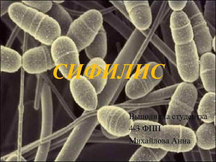 СИФИЛИС Выполнила студентка 4 -3 ФПП Михайлова Анна 