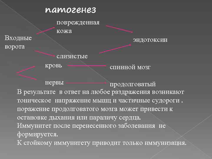патогенез Входные ворота поврежденная кожа эндотоксин слизистые кровь спинной мозг нервы продолговатый В результате