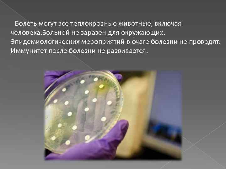 Болеть могут все теплокровные животные, включая человека. Больной не заразен для окружающих. Эпидемиологических мероприятий