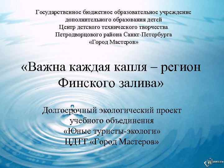 Государственное бюджетное образовательное учреждение дополнительного образования детей Центр детского технического творчества Петродворцового района Санкт-Петербурга