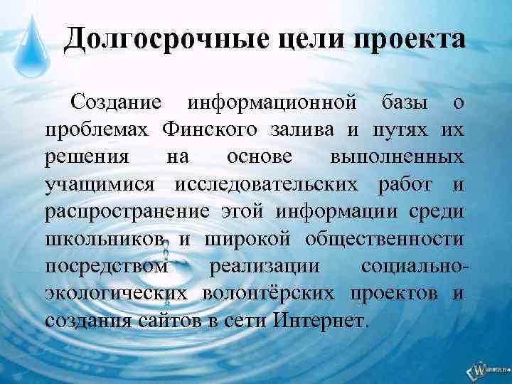 Долгосрочные цели проекта Создание информационной базы о проблемах Финского залива и путях их решения